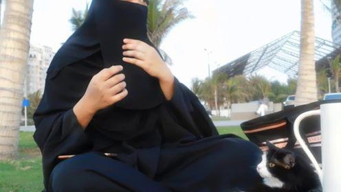 娱乐吃瓜君防弹,防弹少年团背后的故事与魅力